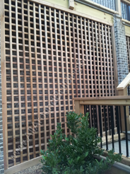 Window Grilles -- 